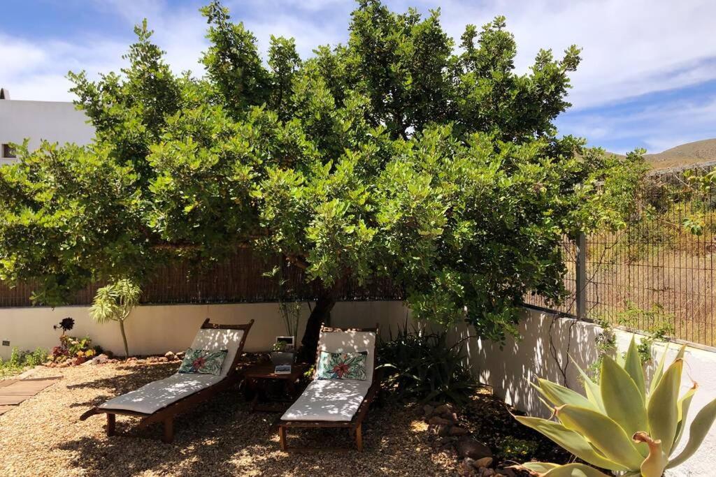 Casa Granado En Cabo De Gata Villa Родалкилар Екстериор снимка