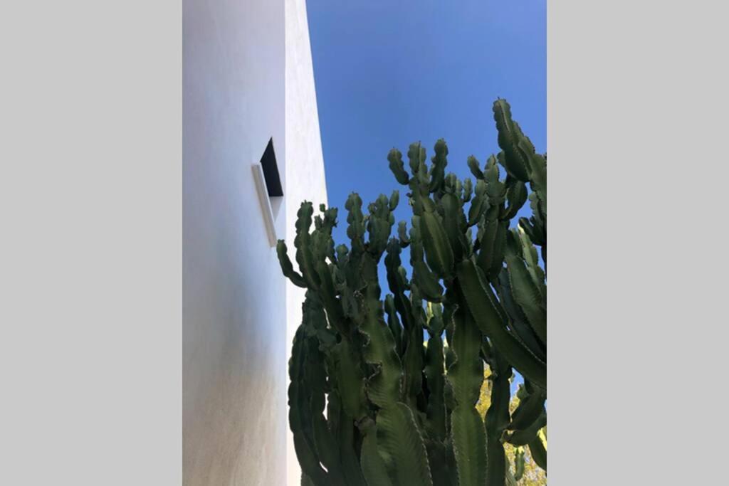 Casa Granado En Cabo De Gata Villa Родалкилар Екстериор снимка